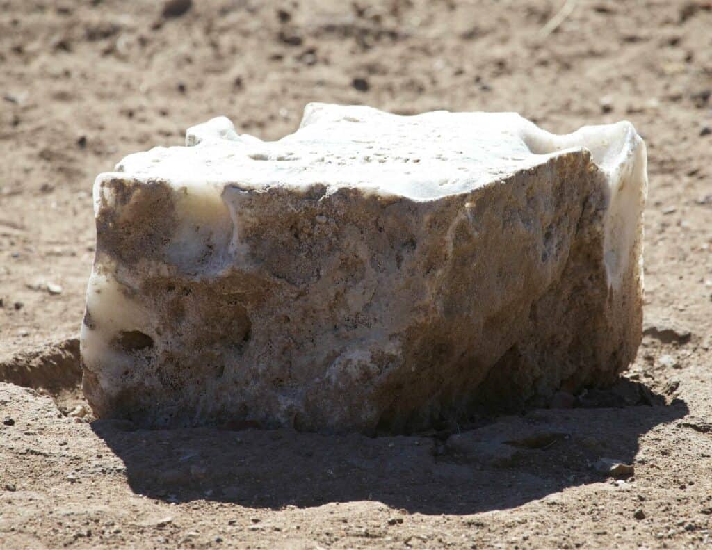 Rain Or Shine The Durability Of Salt Licks By Salt