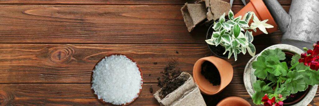 The Benefits Of Using Epsom Salt In Your Garden. This article talks about how properly using Epsom salt in your garden can help maintain pH and improve the quality of your bounty.