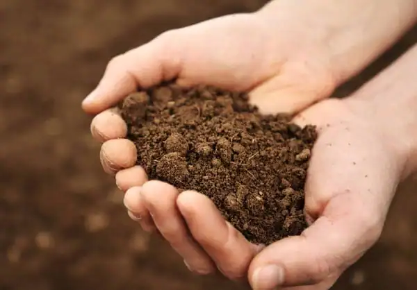 Salts Impact On Soil pH Balancing Your Garden Soil By Salt