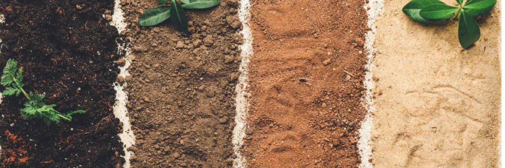 Salts Impact On Soil pH: Balancing Your Garden Soil. This article talks about how salt can help or hurt your garden plants. I also talk about other ways to help maintain your gardens pH level and how pH levels can be a positive or negative to your plants.
