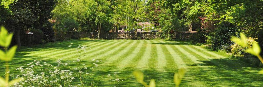 Epsom Salt For Lawn Care: Achieve A Lush And Healthy Lawn