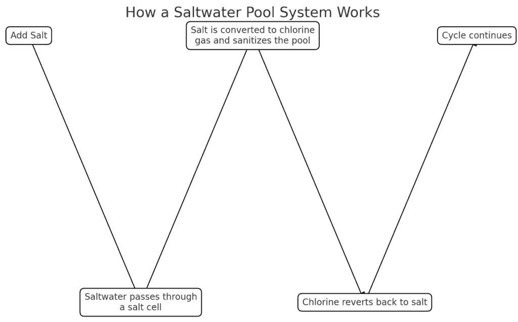 Graphic showing how a saltwater pool system works.