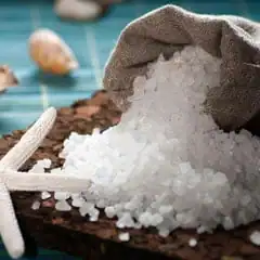 coarse sea salt burlap bag shells