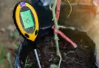 pH testing meter for soil pH