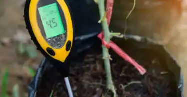 pH testing meter for soil pH