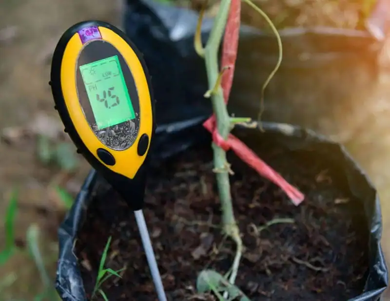 pH testing meter for soil pH