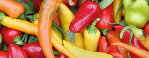 epsom salt for plants like colorful peppers