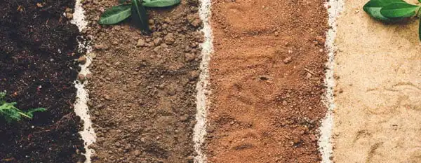 four colors of soil for pH testing
