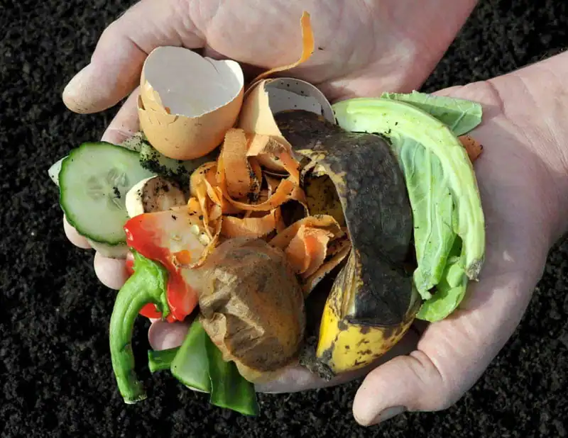 epsom salt in compost featured