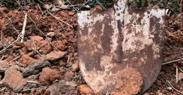 salt and rust removal rusty shovel