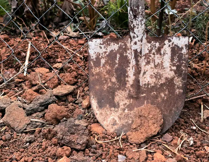 salt and rust removal rusty shovel