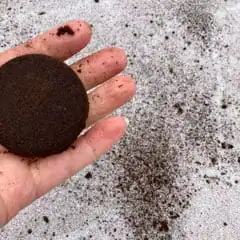 spent coffee grounds used for deicing an icy patio